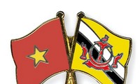 Việt Nam – Brunei  tăng cường hợp tác trên các lĩnh vực quan trọng