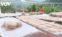 Bản người Nùng giữ nghề làm miến dong tráng tay truyền thống