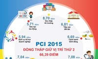 จังหวัดด่งท้าบยังคงอยู่อันดับ 2 ในตารางดัชนีพีซีไอปี 2015