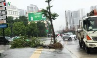 ท้องถิ่นต่างๆแก้ไขผลเสียหายจากพายุโซนร้อนวิภา