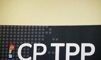ประเทศสมาชิก CPTPP เห็นพ้องที่จะส่งเสริมเศรษฐกิจดิจิทัลในสภาวการณ์ที่เกิดการแพร่ระบาดของโรคโควิด-19