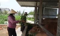 คนพิการในจังหวัดกอนตุมพยายามฟันฝ่าอุปสรรคเพื่อสร้างฐานะและปรับตัวเข้ากับสังคม