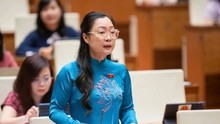 Lawmakers voice support for 2013 Constitution revision 