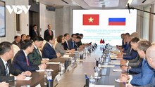 Vietnam, Russia push LNG projects