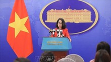 Vietnam ready to work with BRICS countries, int’l community to address global challenges