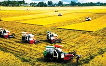 改变农业生产思维，提高经济效率