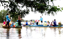 Tourists flock to Mekong Delta during flood season