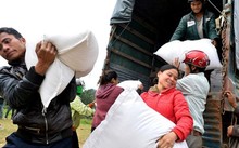 Предоставлены две тыс. тонн риса жителям в затоленных районах в Биньдинь