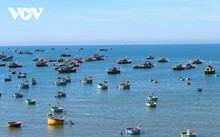 베트남 인민군, IUU 어업 방지에 동참…주권 수호 및 지속가능한 조업 발전에 기여