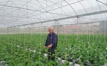 兴安省绿色循环农业生产模式的成功