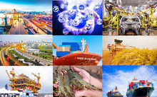  2025年世界贸易：逆风而行