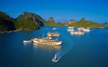 Steering committee for management of world heritage Ha Long Bay-Cat Ba archipelago established 