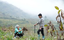 IFAD helps Vietnam’s rural areas adapt to climate change, invest in green future