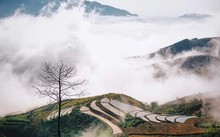 冬にちなんだギター演奏