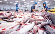 メルコスール、ベトナムとの特恵貿易協定交渉開始を発表