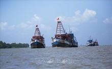 IUU「イエローカード」解除に向けて：アンザン省、漁船の管理を徹底