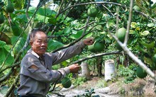 三廉——在劳动生产中有很多创新构想的党员