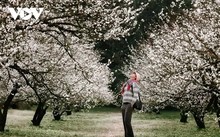 Зима на высокогорье Моктяу в цветах