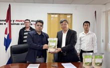 Vietnam ayuda a Cuba a garantizar la seguridad alimentaria