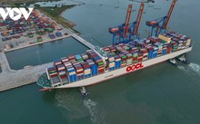 Cái Mép – Thị Vải của Thành phố Hồ Chí Minh đủ tiềm năng trở thành cảng biển thông minh