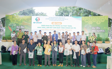 Dự án 100 triệu cây đàn hương - Chung tay vì một Việt Nam xanh