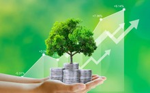 Vers un Vietnam vert: l’ambition d’un nouveau cycle de croissance