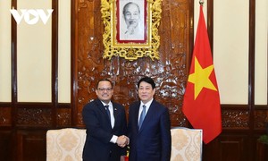 Vietnam atesora relaciones con República Dominicana, afirma Presidente