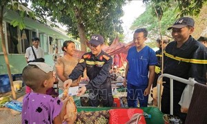 평화의 사절단 된 베트남 군인들