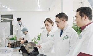 베트남 11개 대학교, 학문 분야별 세계 대학 순위 진입