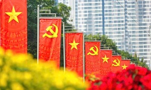 越共十四大：能源——到2045年增长的关键