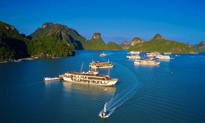 Steering committee for management of world heritage Ha Long Bay-Cat Ba archipelago established 