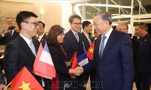 Vietnam affirms role in Francophone community, promotes cooperation with France