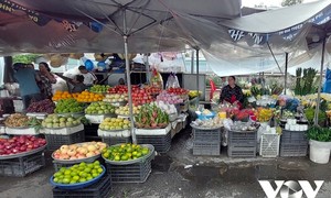 南部メコンデルタ地域のゾン市場訪問