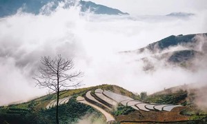 冬にちなんだギター演奏