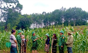 「村へ向かう土曜日」：国境地帯に広がる軍隊と住民の温かな絆