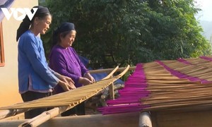 タイグエン省パクゲー集落、テイ族の伝統的な線香作りの保存