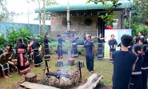 ベトナム中部高原地帯テイグエン地方 消えゆく民族舞踊を守る