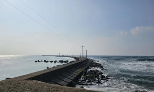 福井の転落事故 在日ベトナム大使館が在外国民保護の対応に乗り出す