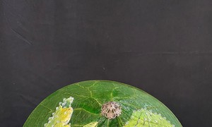 Вьетнамские стартапы вместе с правительством добиваются цели «Ноль отходов»