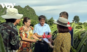 Vũ Quang Giảng - Nhà khoa học của nông dân