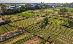 หมู่บ้านปลูกผักจ่าเกว๊หรือ Trà Quế Vegetable Village  - หมู่บ้านการท่องเที่ยวที่ดีที่สุดในโลกปี 2024