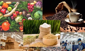 6 Vietnamese agricultural, forestry products earn export exceeding 1 billion USD