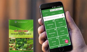 eGap technology helps promote e‑agriculture in Vietnam