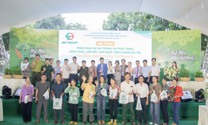 Dự án 100 triệu cây đàn hương - Chung tay vì một Việt Nam xanh