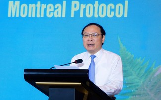 Vietnam telah Berhasil Singkirkan 220 Juta Ton CO2 Sejak Berpartisipasi pada Konvensi Wina tentang Perlindungan Lapisan Ozon