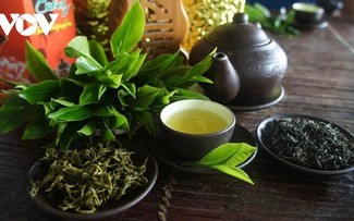 Produk-Produk Teh OCOP dari Provinsi Thai Nguyen