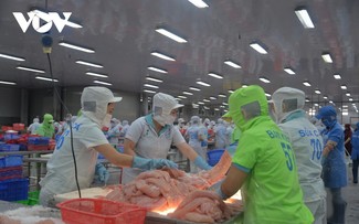 Vietnam bien preparado para recibir al equipo de inspección de la Unión Europea en el sector de la acuicultura