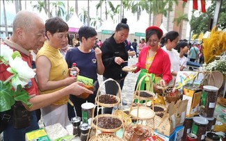 Stand vietnamita resalta en Festival de Intercambio Cultural Asiático en Hong Kong