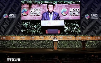 Cumbre Empresarial de la APEC: presidente Luong Cuong expone la visión de Vietnam