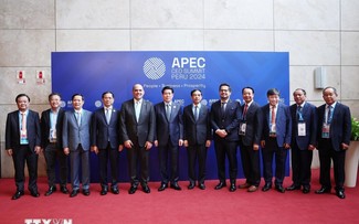 Vietnam respalda esfuerzos de APEC hacia una economía formal y global